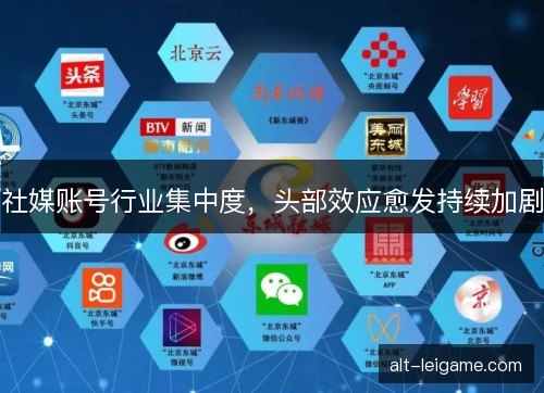 社媒账号行业集中度，头部效应愈发持续加剧